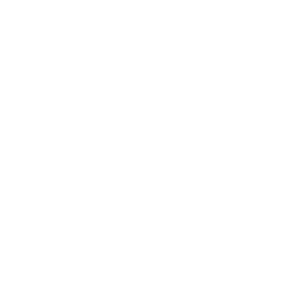Internet icon